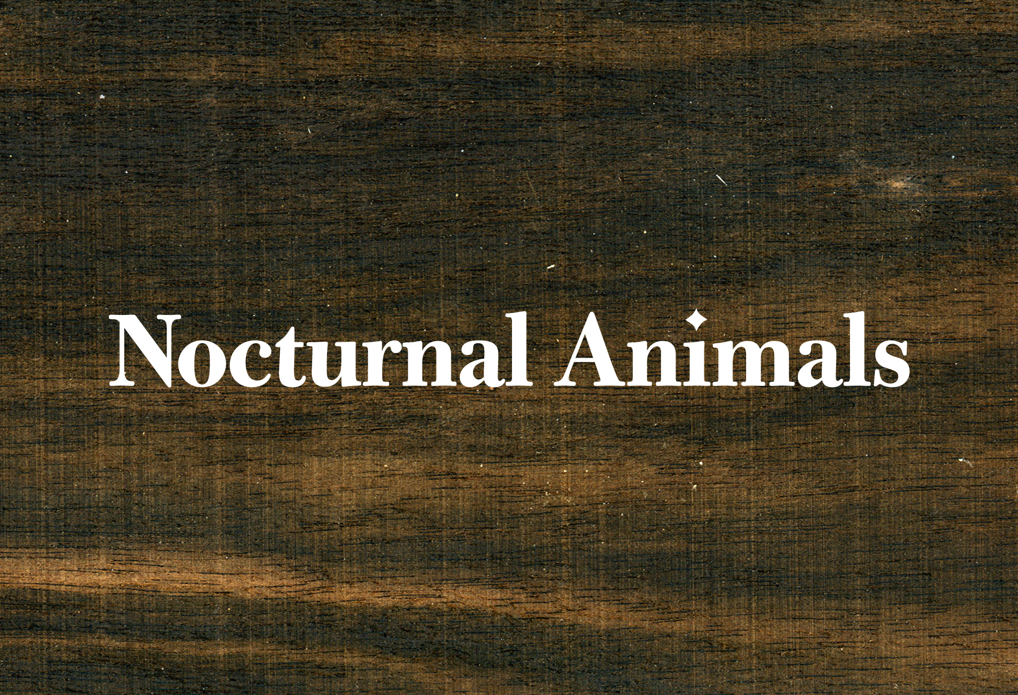Nocturnal Animals